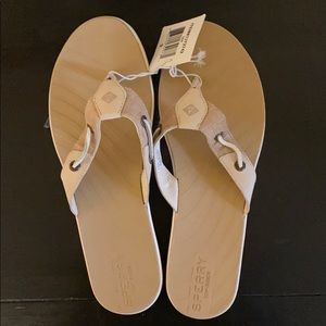 NWT SPERRY Top Siders